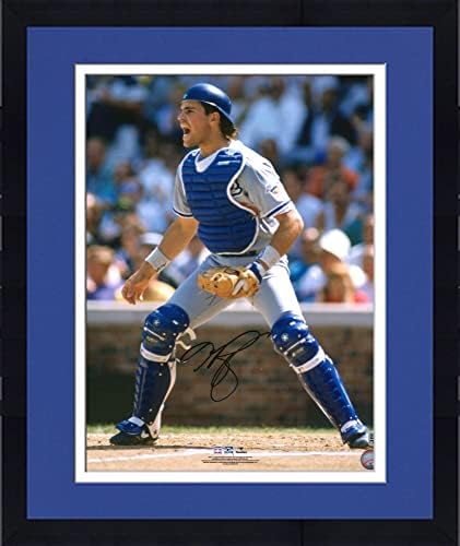 Încadrat Mike Piazza Los Angeles Dodgers Autographed 16 x 20 Fotografia de prindere - Fotografii MLB autografate