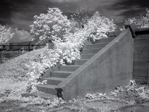 HistoricalFindings Foto: McMillan Reservoir, Washington, D.C, Carol Highsmith, fotograf, 2010, scări