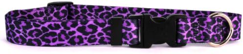 Design câine galben leopard guler purpuriu 3/4 lățime și se potrivește gâtului 10 până la 14, mic