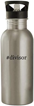 Cadouri Knick Knack Divisor - Sticlă de apă din oțel inoxidabil 20oz, argintiu