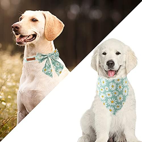 Pettidol Floral Girl Dog Guler cu papion și bandane guler pentru animale de companie reglabile cu cataramă metalică pentru câini mici mari mari
