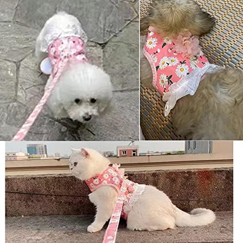 Rochie de câini mqqylbhds cu lesă cu lesă tipărit de margarete cartier rochie harnașă pentru pisici respirabile plasă de cățeluș harnașă lesă cu decor floare dantelă prințesă fustă pentru câini mici pisici