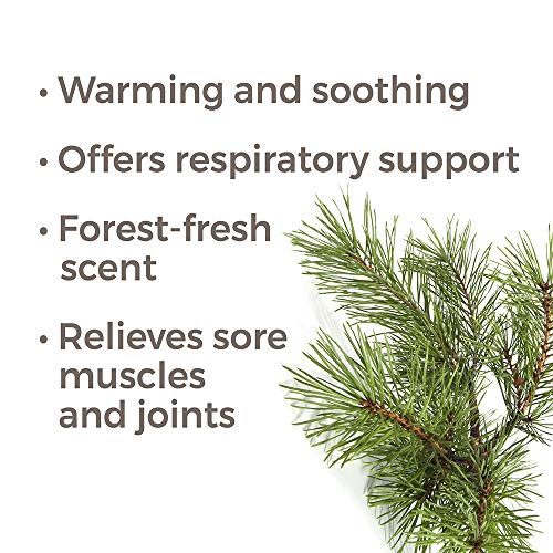 Terapie vegetală Scots Ulei esențial de pin 30 ml pur, nediluat, grad terapeutic