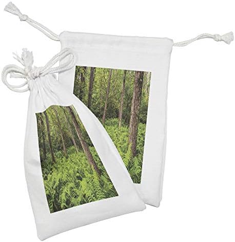Set de 2, imagine din viața reală a ferigiilor și ramurilor într -un parc național din Virginia, o geantă de tragere mică pentru